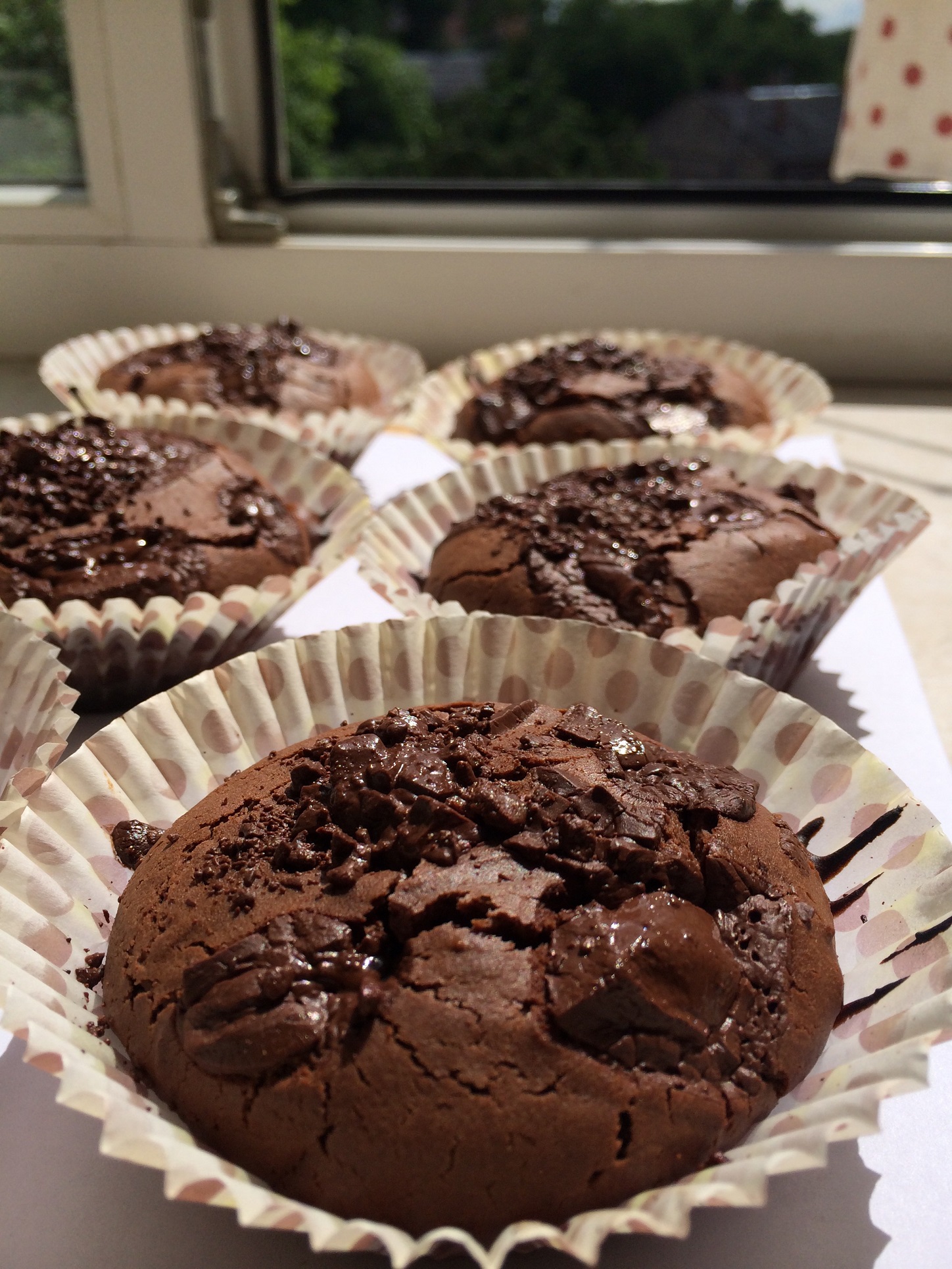 Chocolate Muffins with Chocolate Chips