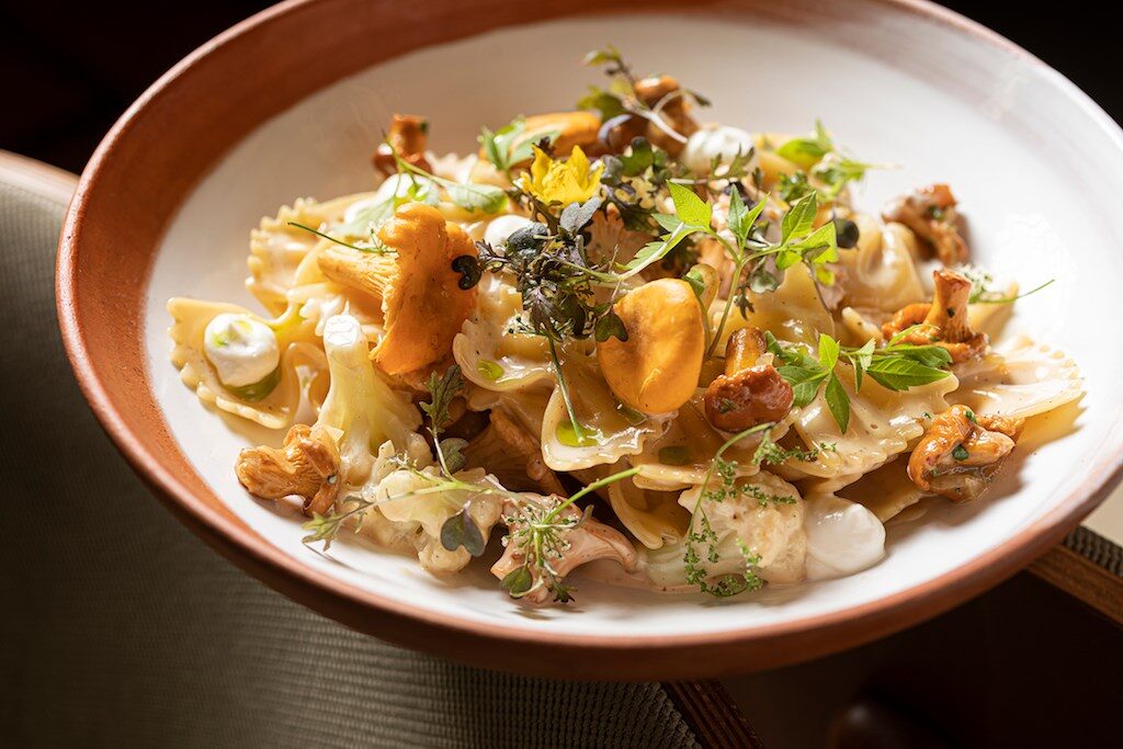 Farfalle pasta with chanterelles and cauliflower